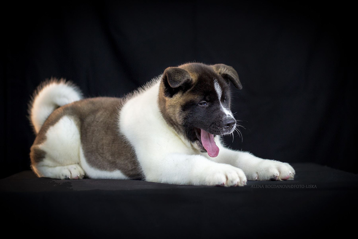 003374CC-0764-4A37-9AF0-8C49D5289441