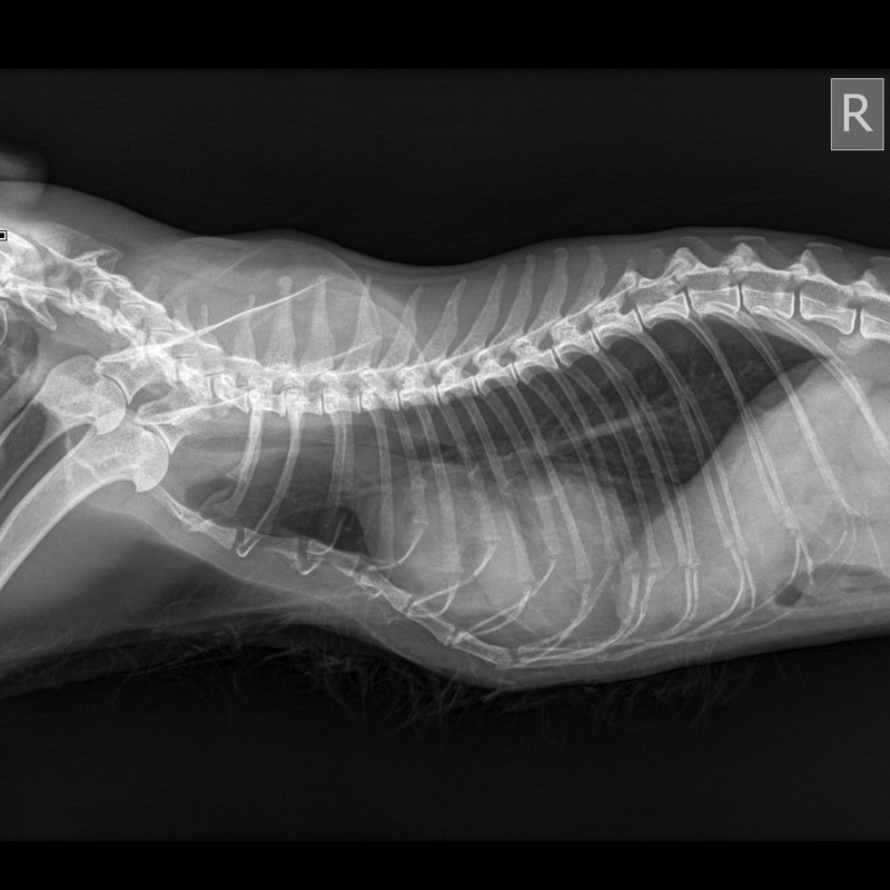 Колесников Марс (2)