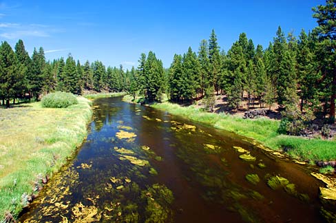 Fly Rod Required Chiloquin Oregon