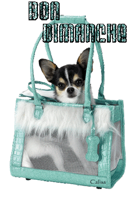 DIMANCHE 20 JANVIER 2019 DIMANCHE-CHIEN-SAC-F