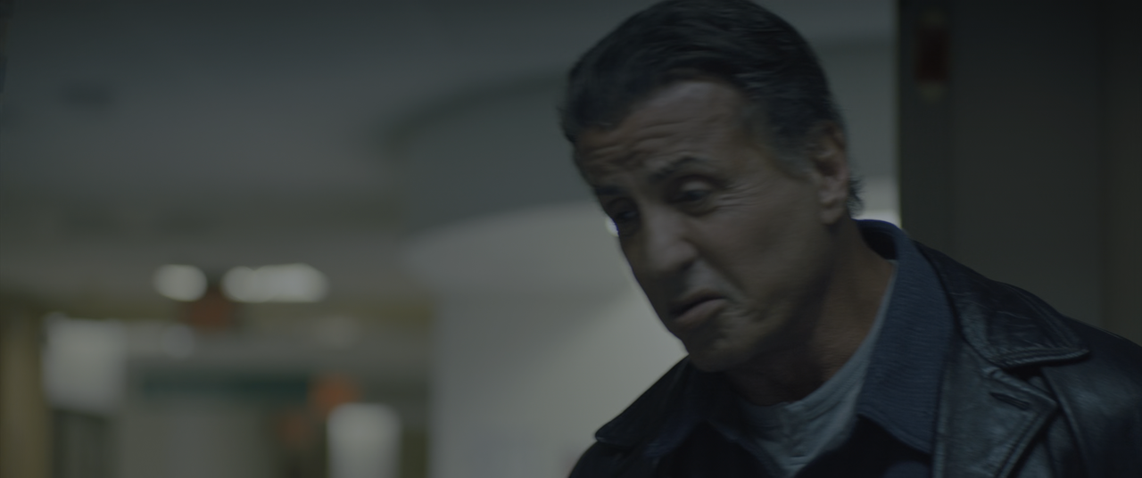 Creed II (2018) [Rip 2160p HEVC 10bit-HDR ITA-ENG AC3-SUBS] [M@H