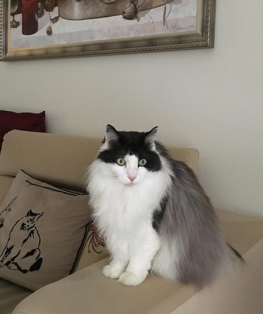 7-F75-A800-BB75-4-F2-D-AF4-A-0-B3-B7106-