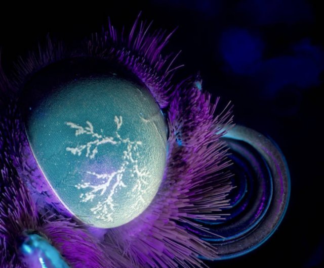 Ultraviolet-5