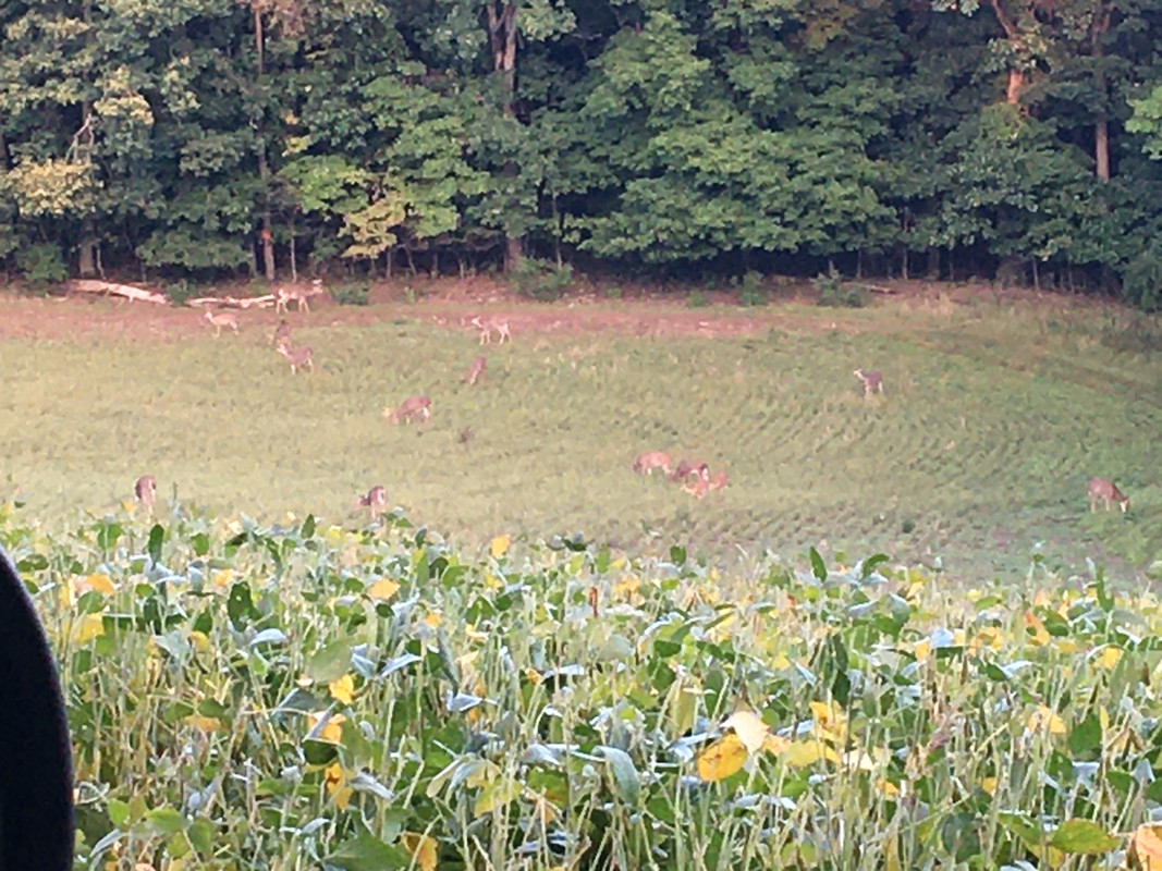 F0F55D74-E360-40AB-AB94-819D971583A8