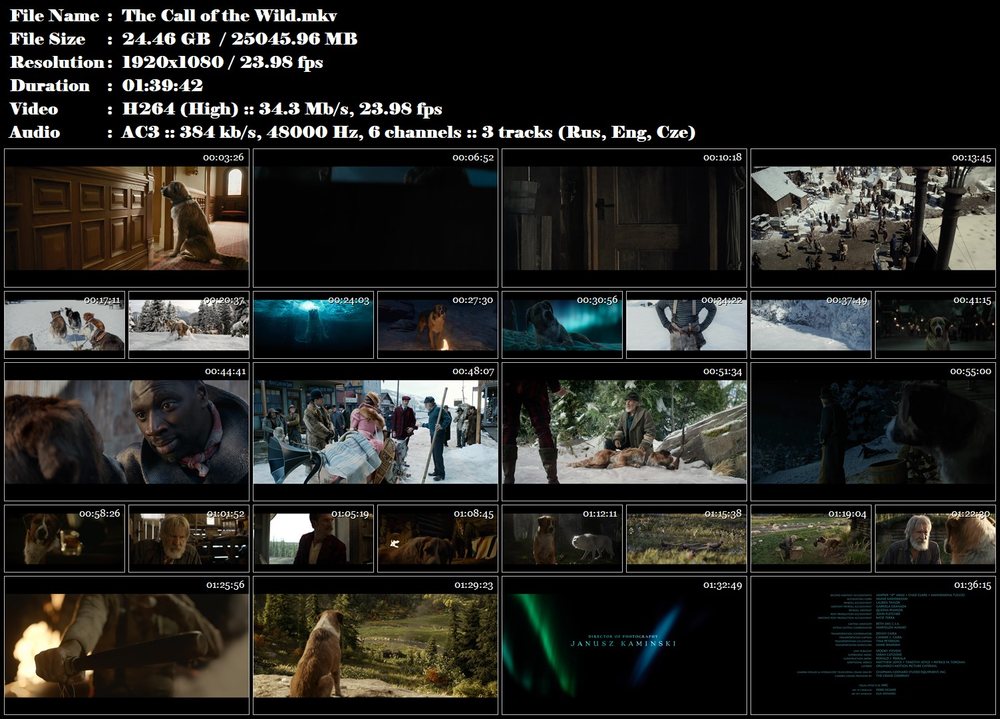 Volání divočiny / The Call of the Wild (2020)