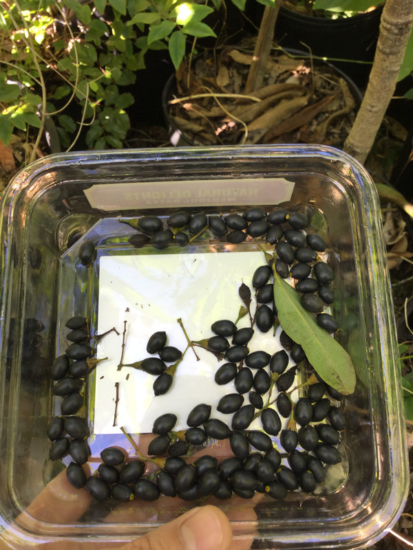 03F6BE2D-C889-4E5C-BE06-76B05544C598