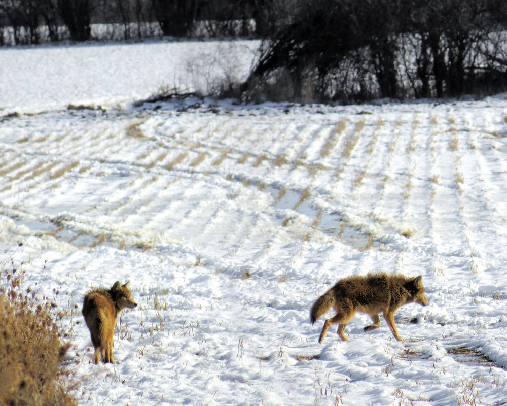 !28 - IMG_3854XXT-3-2