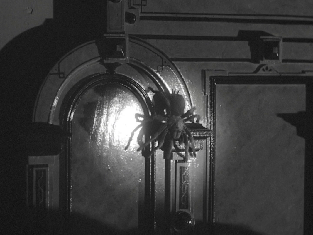 vlcsnap-2023-06-11-00h34m14s775