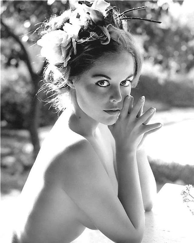 02 diane wbber