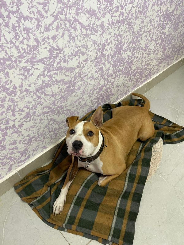 C0581DAF-833C-4E9E-A816-3092FA2D81BE