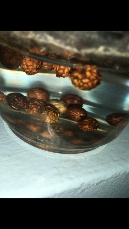 159FD598-CC1D-45B2-99BF-540BEE1AD723