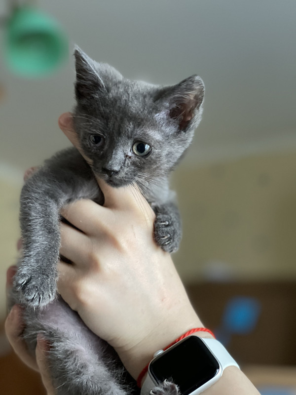 AB0AD62D-8F11-402B-9FB2-3BDFE84CDE19