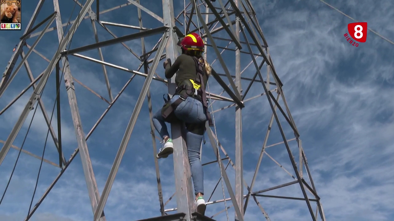 mariademiguelminicuadrosBIER_oso34eeeeeeeeeeee