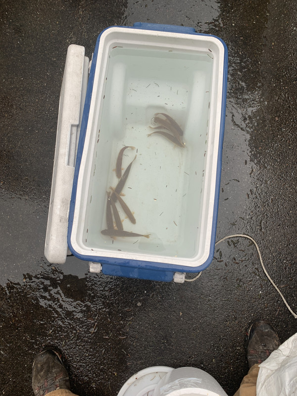 F9994761-D0BD-4FAC-B51D-2387EEEE8E68