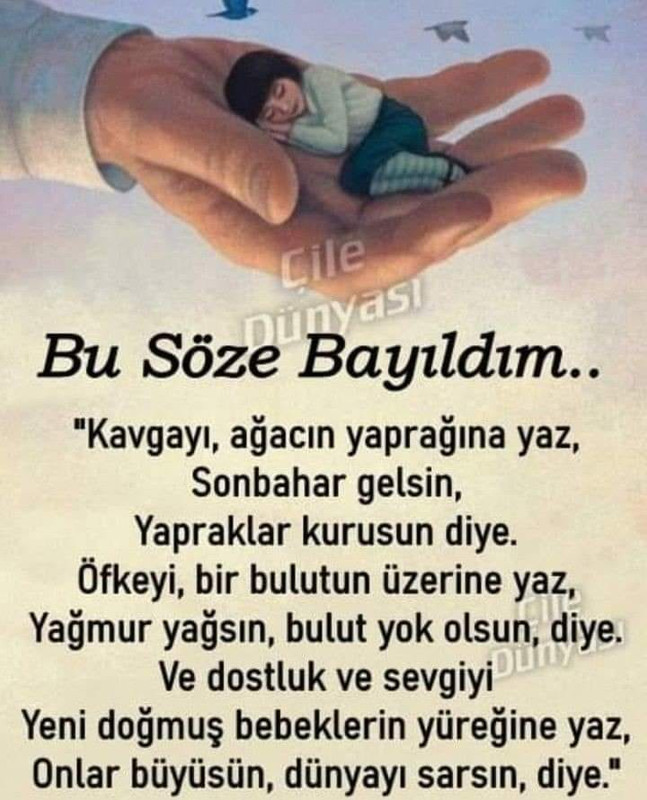 bu söze