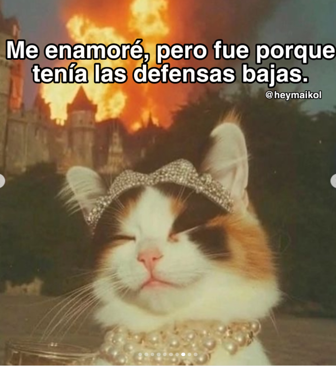 Captura de pantalla 2024-12-31 162856