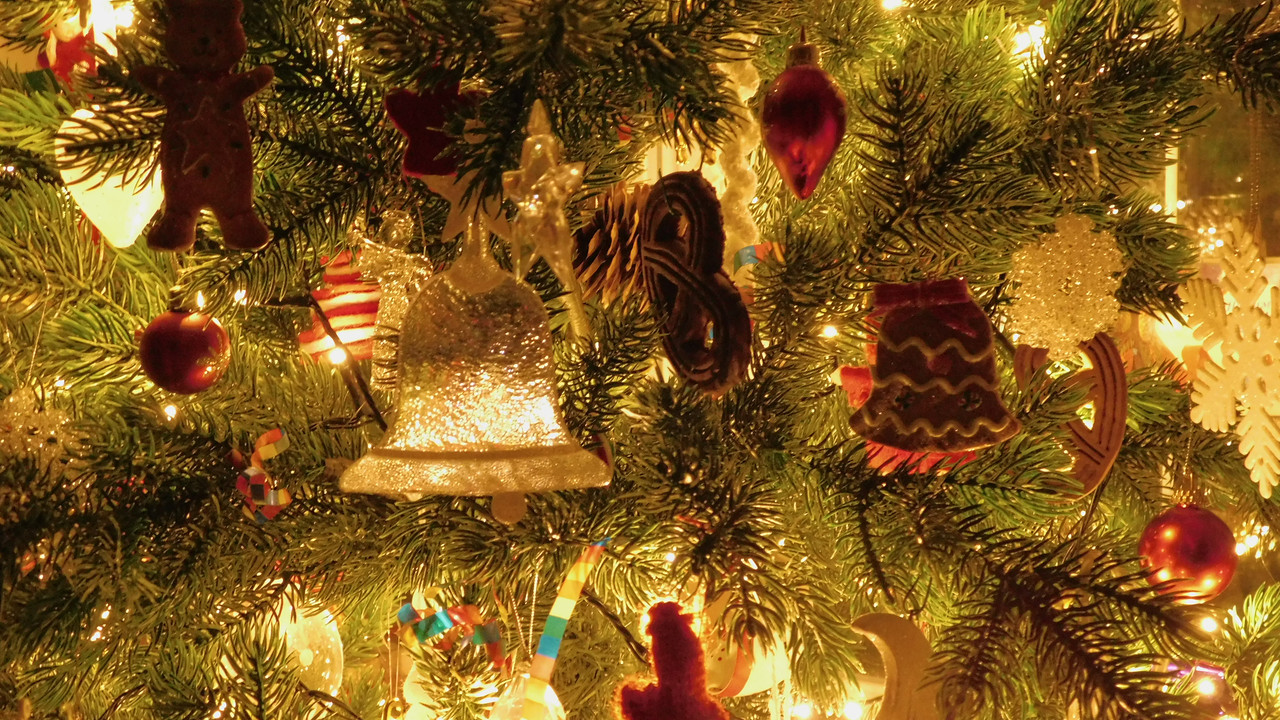 елки в огнях январь 2024 009