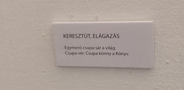 Kép