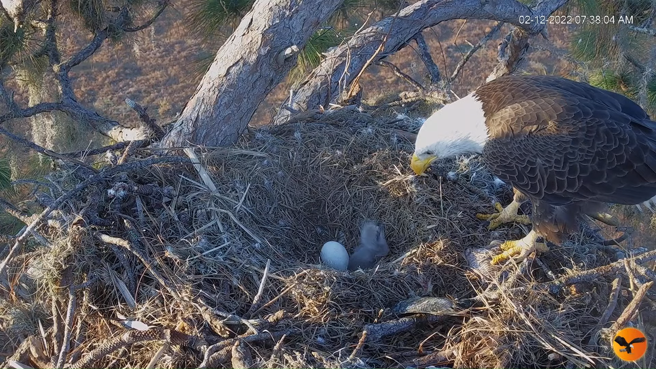 EC 4K Overhead Cam 12-44-45 screenshot