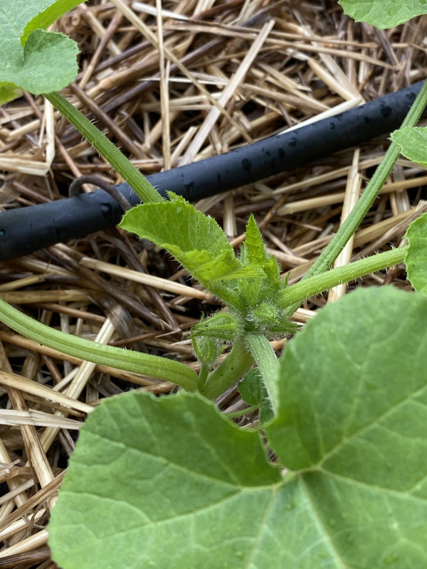 E8625DE9-1D33-4AEF-A6BA-6ADA5BC0E907