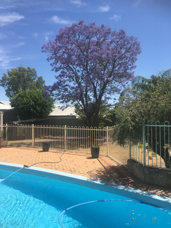 B1BE96F7-EBB1-4652-AA13-BB1DF06B7761