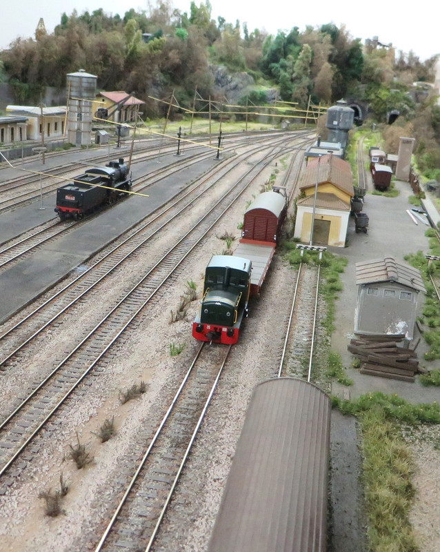 Boscoscuro dec 2021 (6)