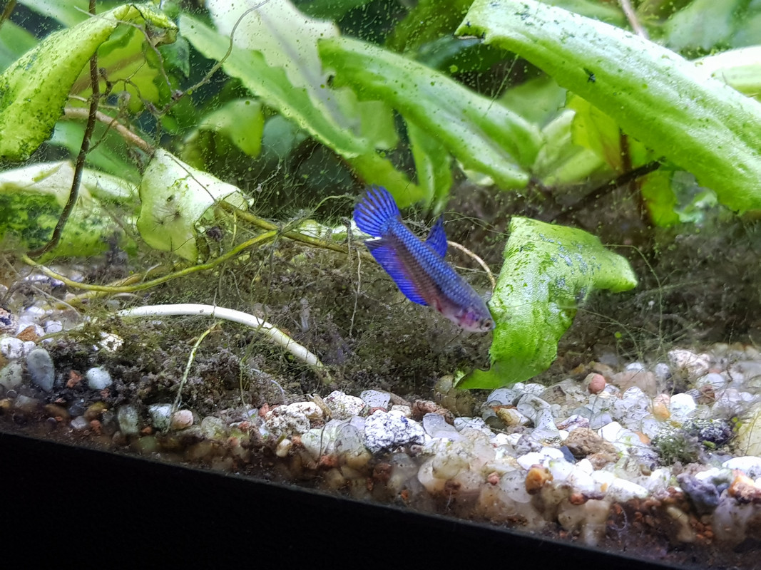 4D619460-542D-4917-85F3-24F5F43BBDF8