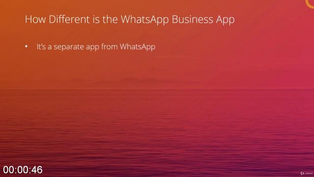 [Image: G-PUltimate-Guide-to-Whats-App-For-Business.jpg]