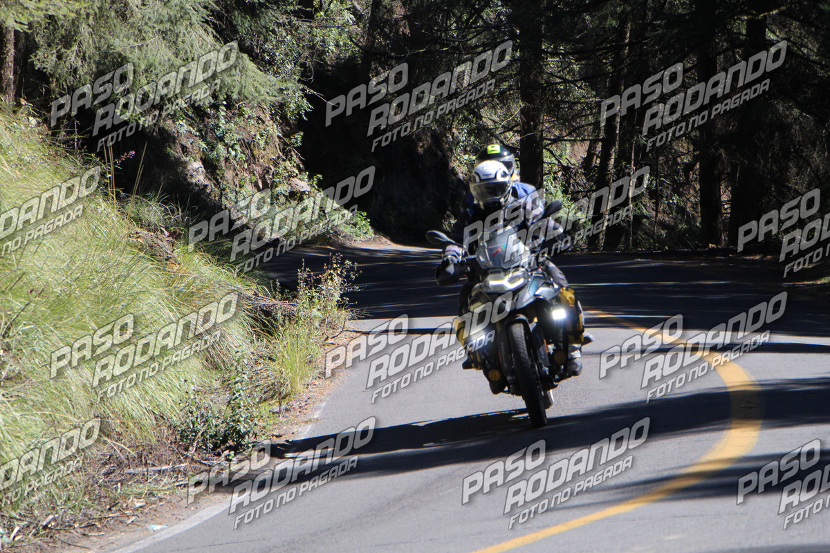 IMG 4461 wm 2003775 6 watermarked — Postimages