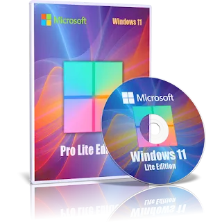 Windows-11-Professional-Lite.webp