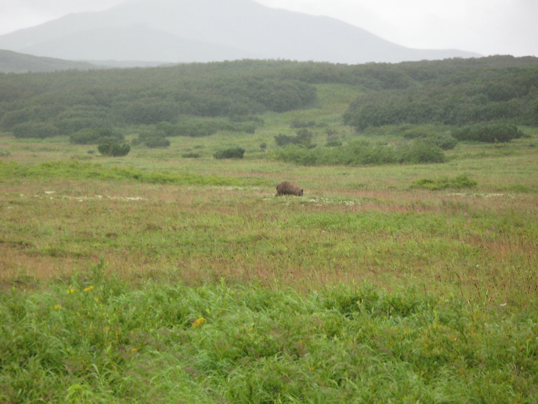 IMG-1675.jpg