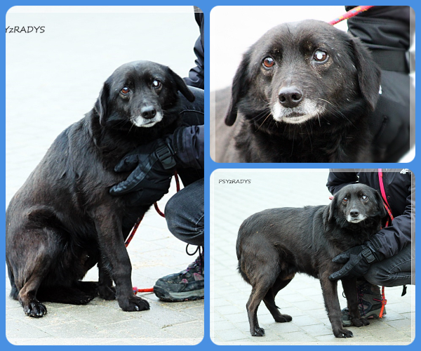 BeFunky-collage (19)