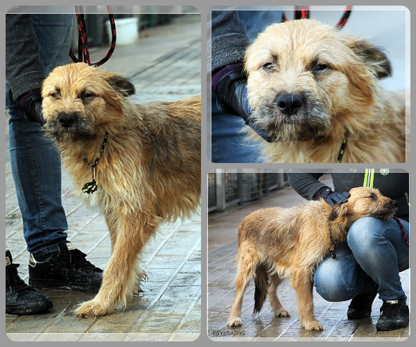 BeFunky-collage (28)