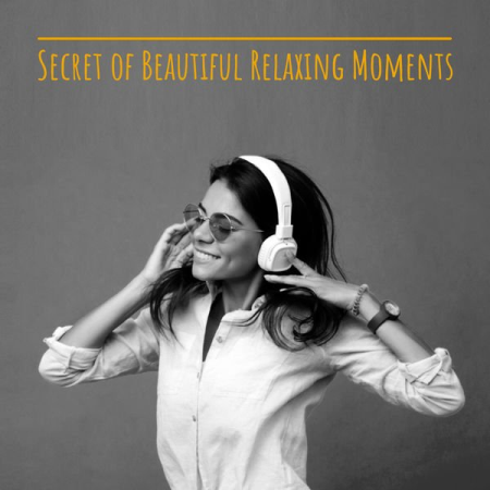 Electro Lounge All Stars - Secret of Beautiful Relaxing Moments (2021)