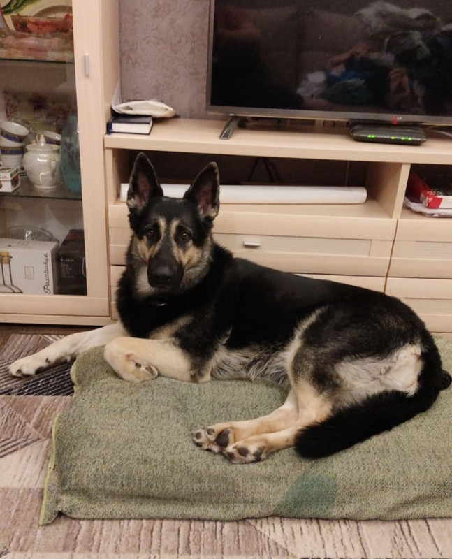 C3fUwud1tHwsovrNR9K_9UfHs8D_9Y8ahhl4b3UetoobCudmlxtKYKBBf-ro3WzjoQmk06vKUtyv-eFrRhma5RV5