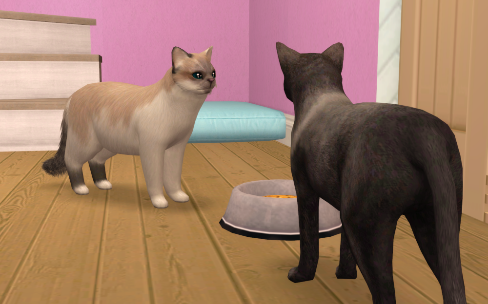 Sims2-EP9-RPC-2021-06-25-17-51-32-36