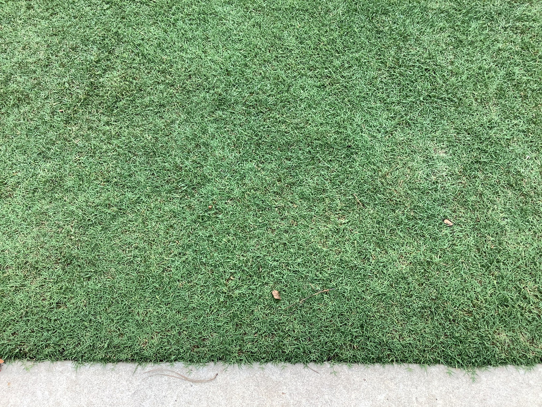 EE86AFC2-8017-4332-8DDB-6B1AE2FFD1CB