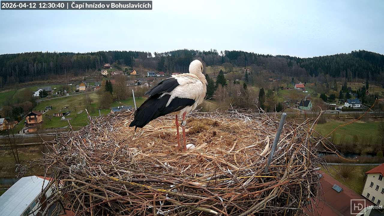 Živě z čapího komína firmy KARA v Bohuslavicích u Trutnova 11 7 15 screenshot (1)