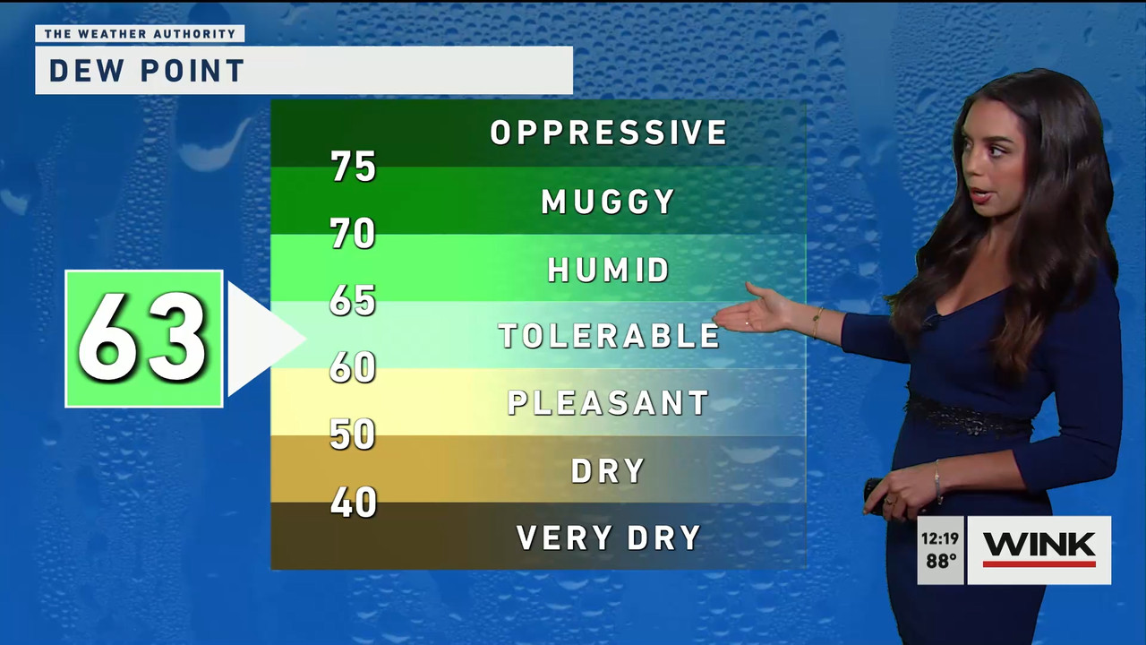 03.06 - 17.00.00 - The WINK Noon News  ᴺᵉʷ. Midday news update..ts_snapshot_25.33.285