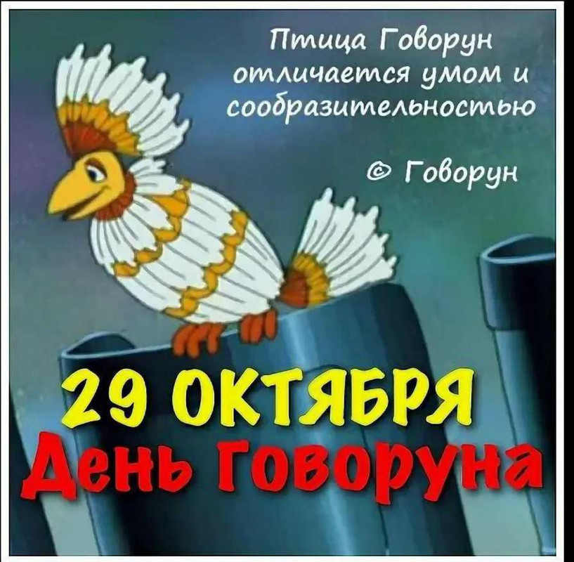 IMG_20231028_224523_921