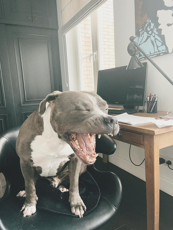 15EC699F-5F88-4226-B746-82AFB82E7FE1