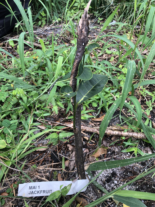 C9472306-4D92-4012-A563-604720B28041