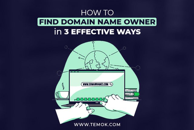 How-To-Find-Domain-Name-Owner-In-3-Effective-Ways.jpg