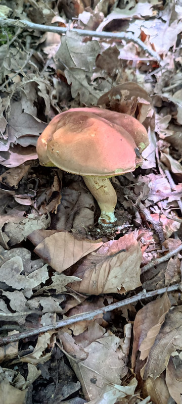 WhatsApp Image 2023-08-05 at 17.51.20 (1)