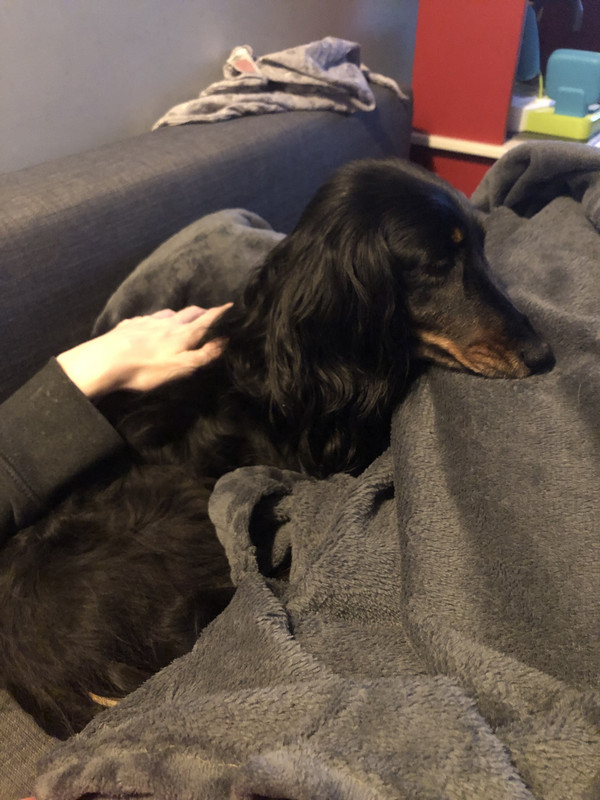 [Image: IMG-1300.jpg]