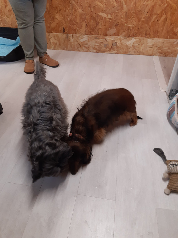 [Image: 20220330-091356.jpg]