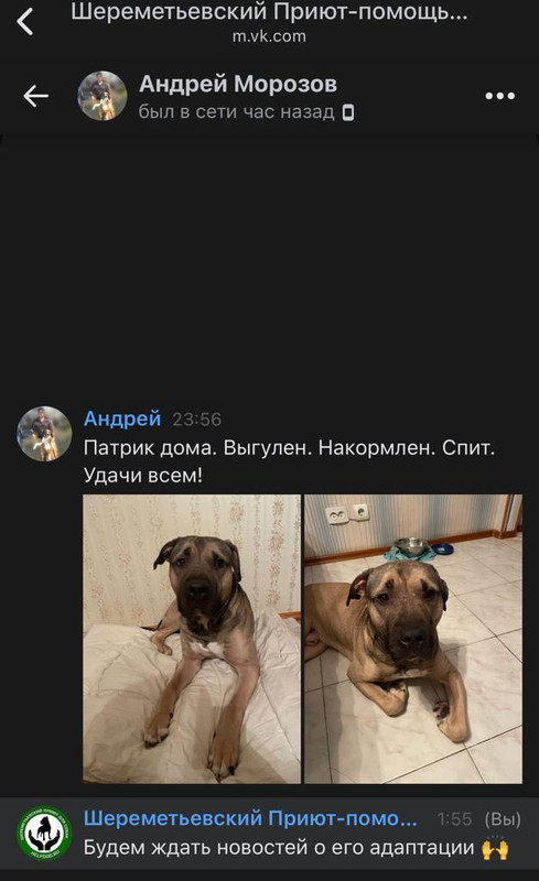 69F8E78D-63D4-4911-AED4-31F0C6D67219