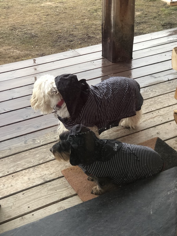 [Image: IMG-2997.jpg]