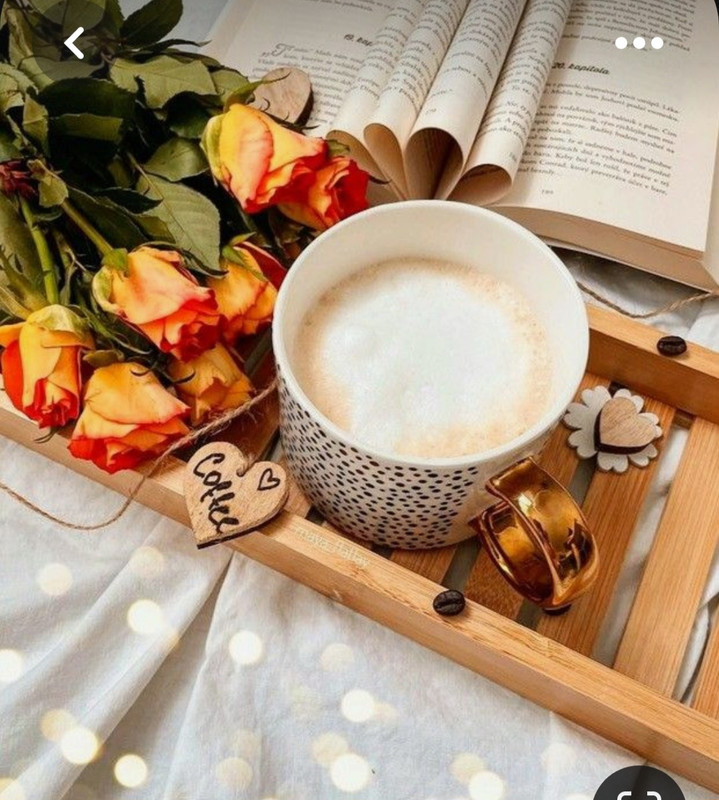 Screenshot_20230712_011931_Pinterest