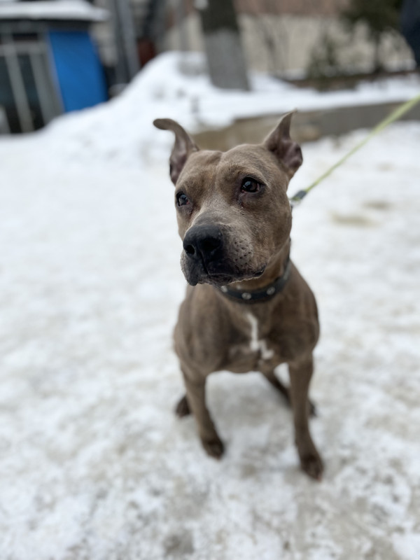 AF9C819F-4702-4616-8AAE-E5EDAD4447C7